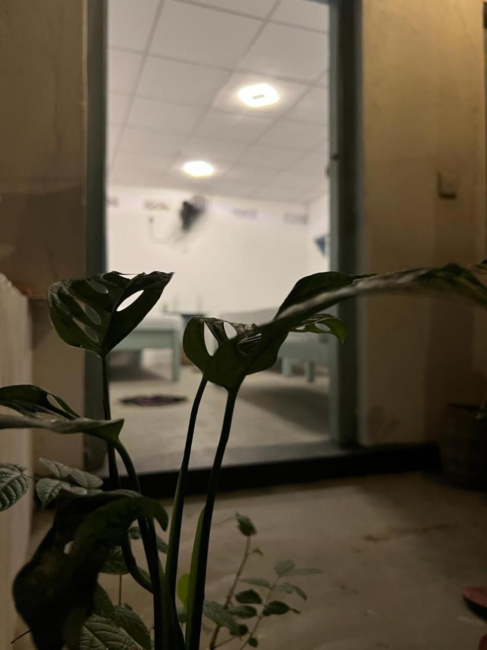 Cactus Arugambay Hostel อารูกัมเบย์ ภายนอก รูปภาพ