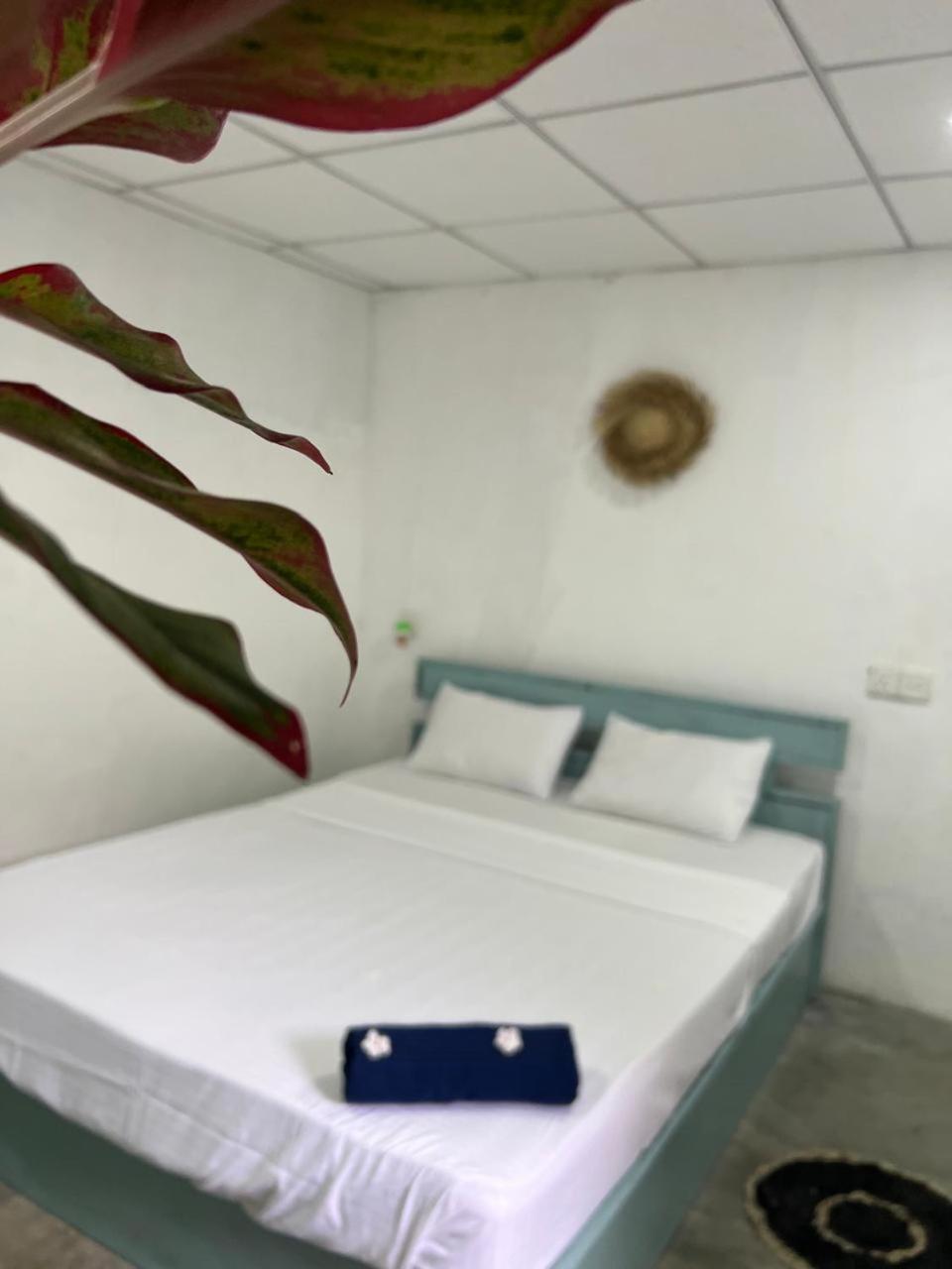 Cactus Arugambay Hostel อารูกัมเบย์ ภายนอก รูปภาพ