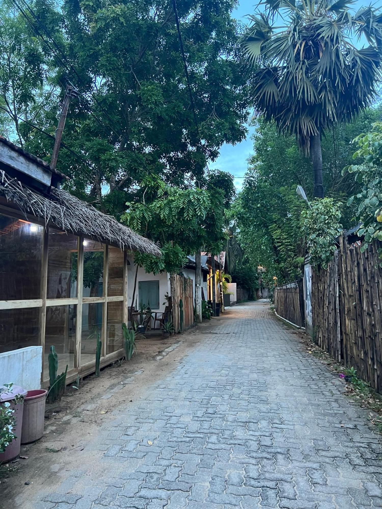 Cactus Arugambay Hostel อารูกัมเบย์ ภายนอก รูปภาพ