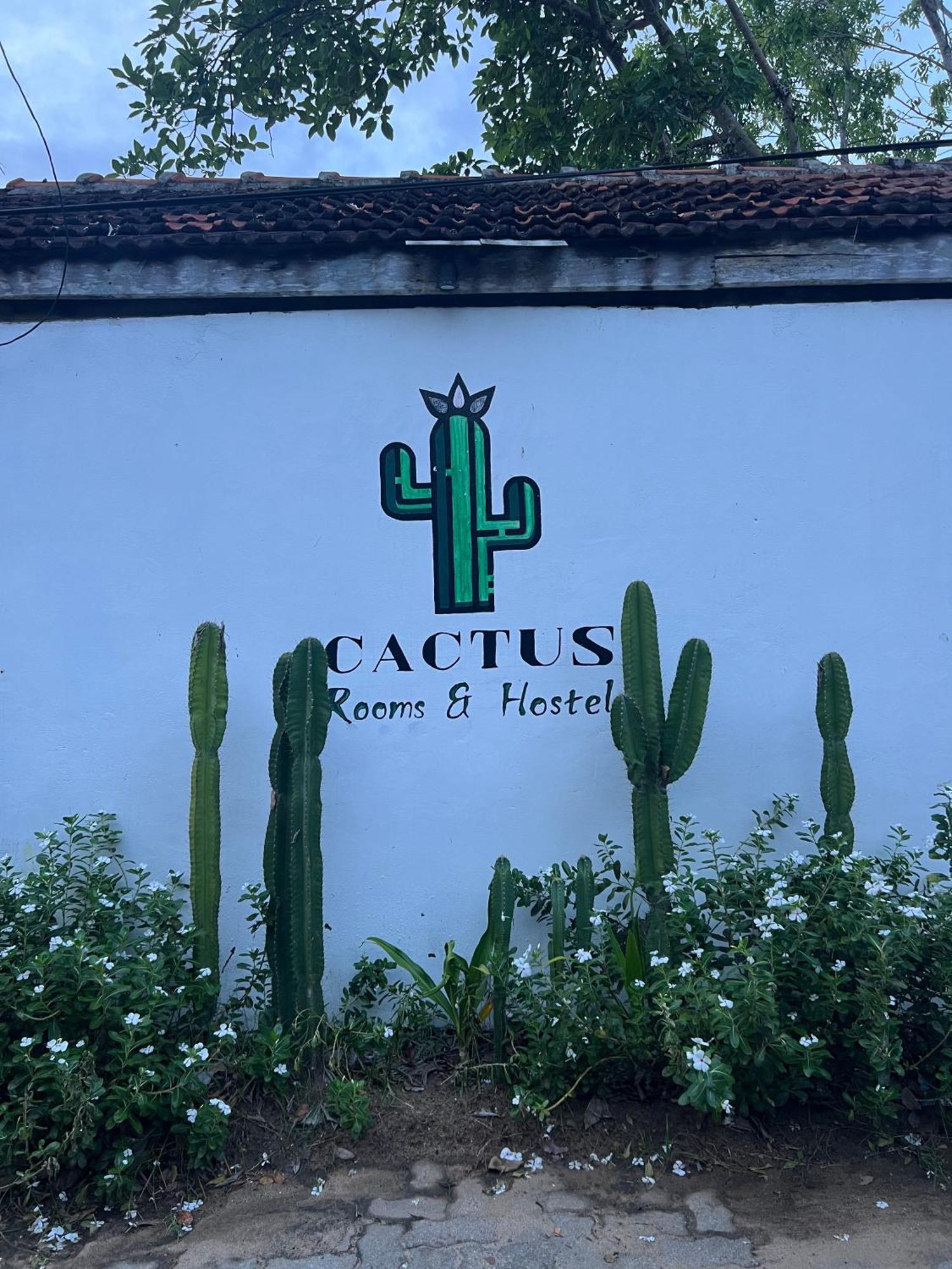 Cactus Arugambay Hostel อารูกัมเบย์ ภายนอก รูปภาพ