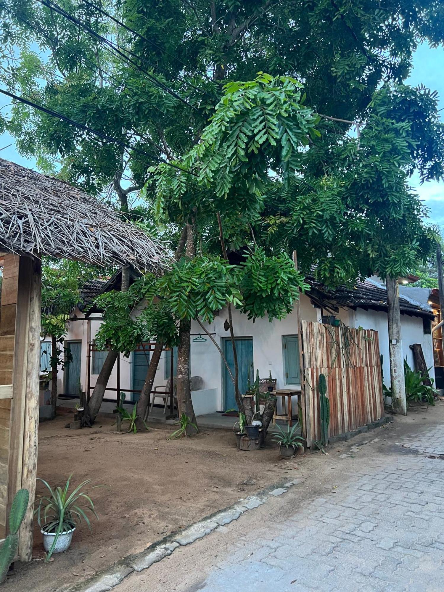 Cactus Arugambay Hostel อารูกัมเบย์ ภายนอก รูปภาพ